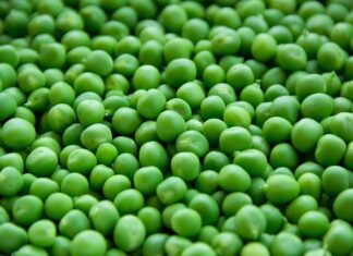 Czy groszek jest fasola?