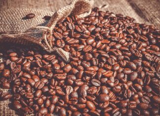 Czy fasola jest toksyczną?