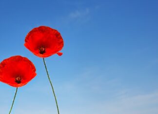 W jakim wieku powinno się golić miejsca intymne?