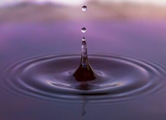 Ile wynosi dopłata do roślin strączkowych?