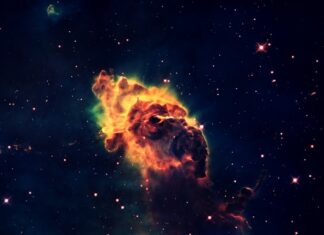 Dlaczego po fasoli są gazy?