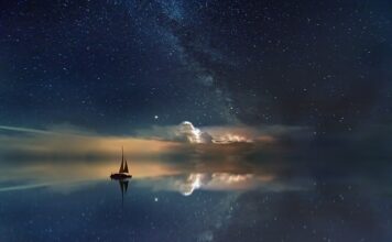 Co zrobić żeby woda nie była mętna w akwarium?