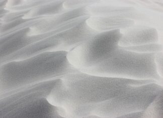 Ile może stać galareta w słoiku?