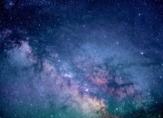 Co jest słodkie a nie tuczy?