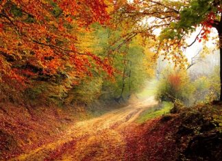 Do którego roku życia chłopcy rosną?