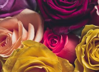 Co to znaczy Ikebana?