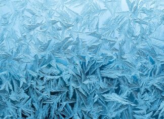 Dlaczego mrozu chodzi w okularach?