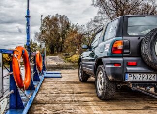 Jak można przewozić psa w samochodzie?