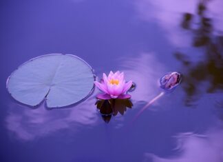 Co jeść na chore stawy?