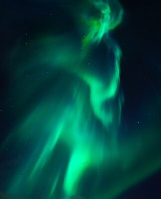 Jaką roślina ma dużo azotu?