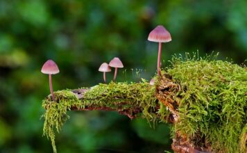 Gdzie trzymać gąbki do mycia naczyń?