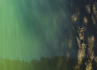 Co jeść aby obniżyć poziom cukru we krwi?