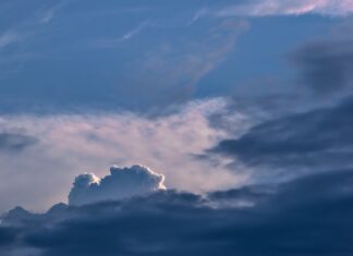 Jak można odróżnić glukozę od fruktozy?