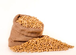 Czy soja jest fasola?